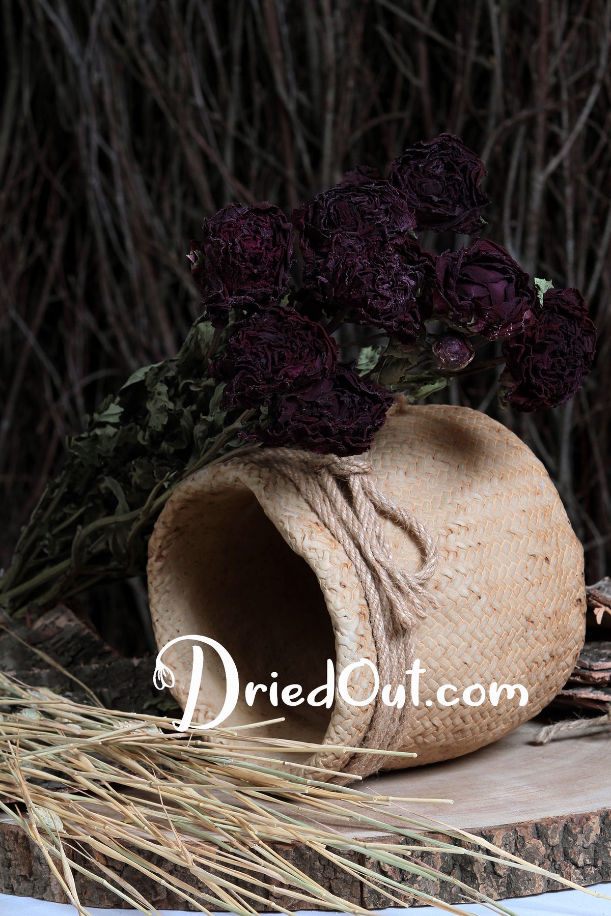 Dried Natural &quot;Peony Blackbeard&quot; Flower 50cm by the bunch