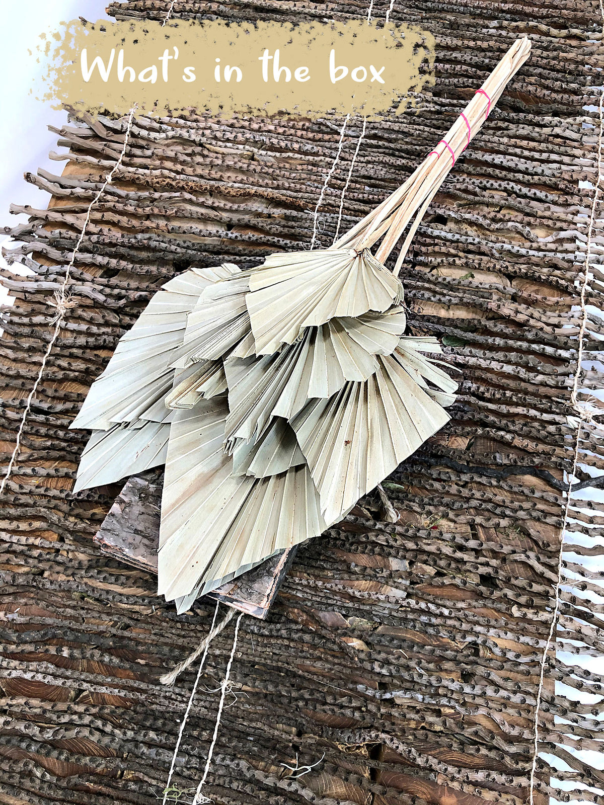 Dried Natural &quot;Fan Palm Spears&quot; in 10 stem bunches