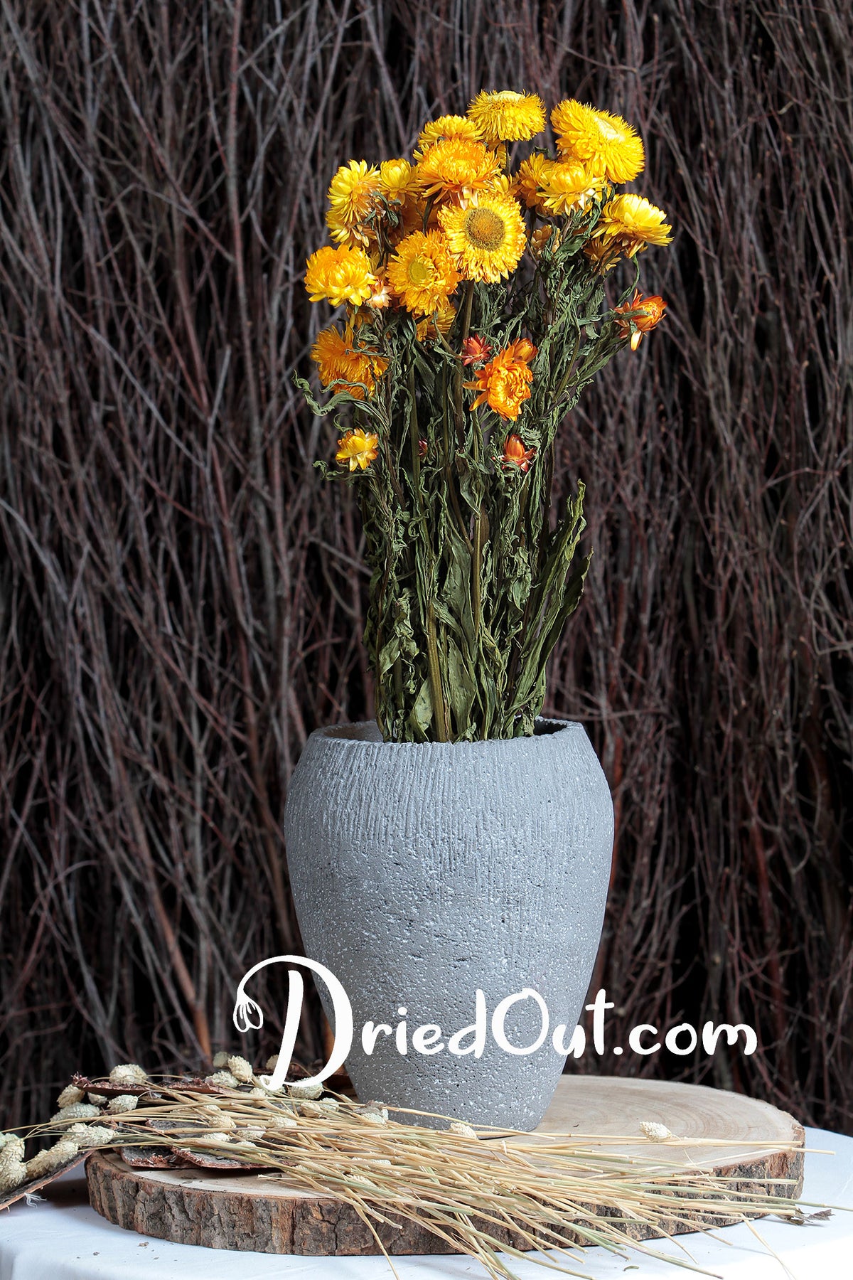 Dried Natural Yellow &quot;Straw Flower&quot; by the bunch