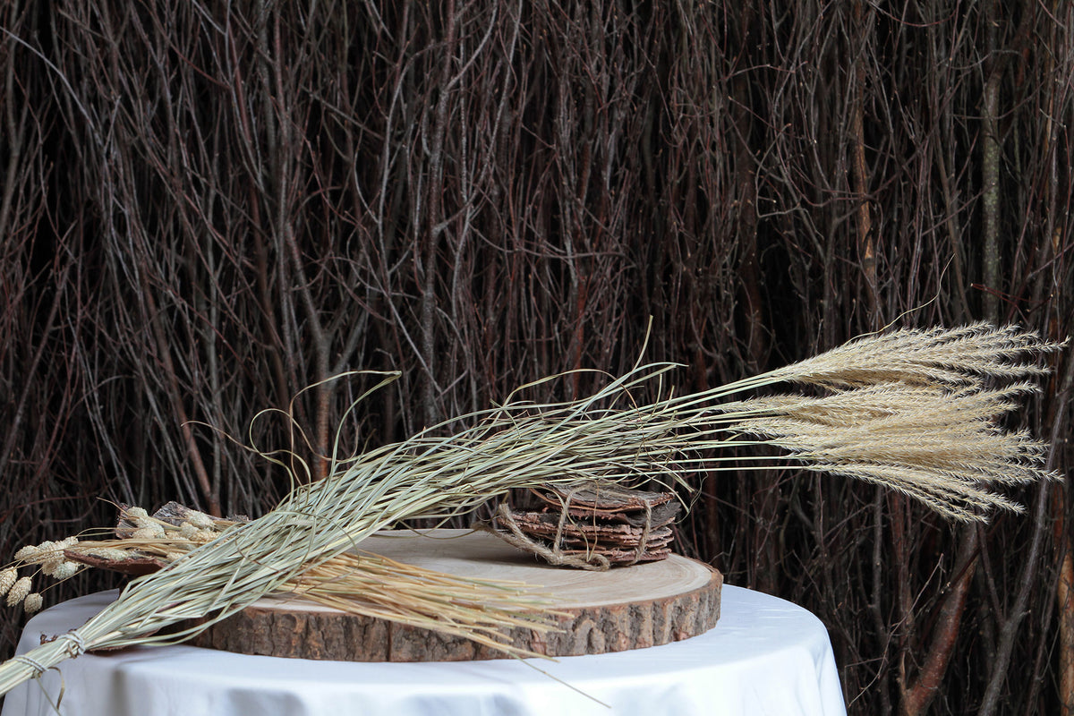 Dried Natural &quot;Miscanthus White Motion&quot; Grass in a 10 stem bunch