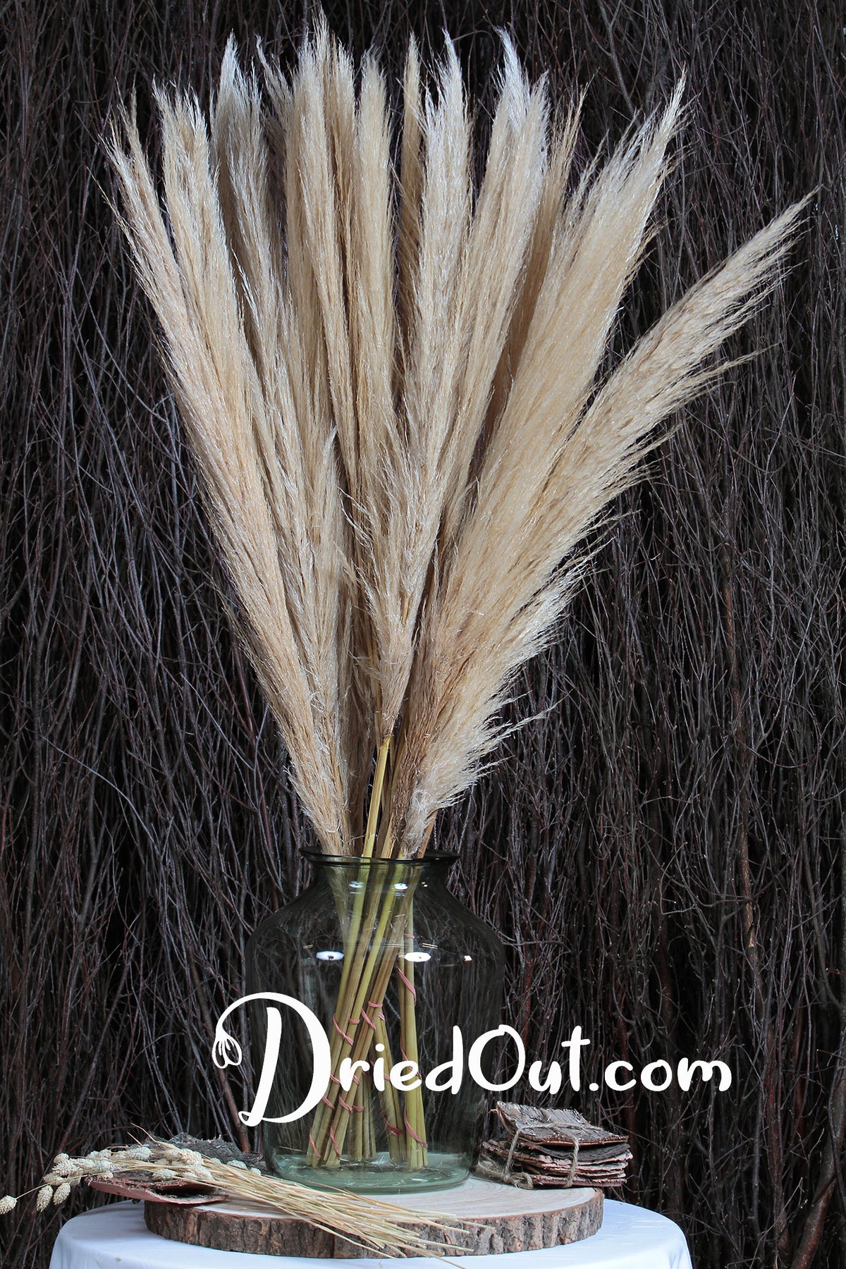 Bleached Fluffy &quot;Pampas&quot; Grass 120cm in a 5 stem bunch