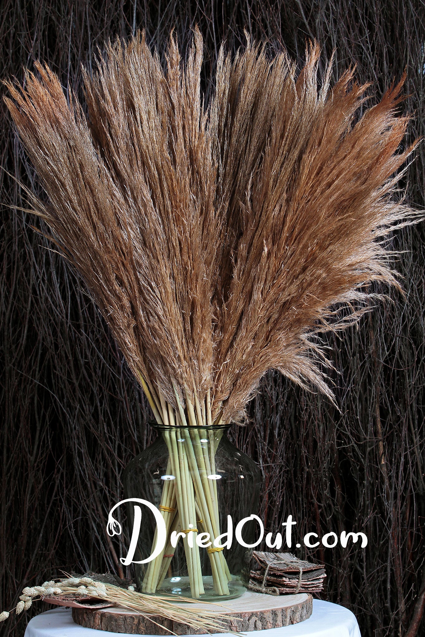 Dried Natural Fluffy "Pampas" Grass 100cm in a 10 stem bunch
