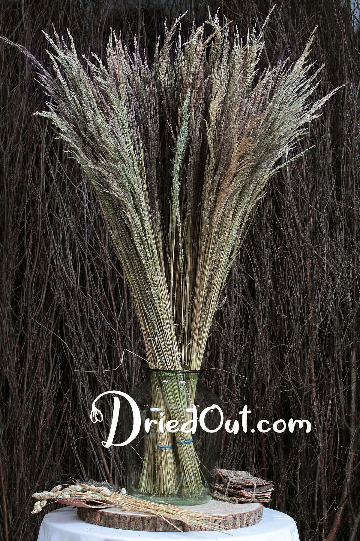 Dried Natural &quot;Erba Grass&quot; 70cm by the bunch