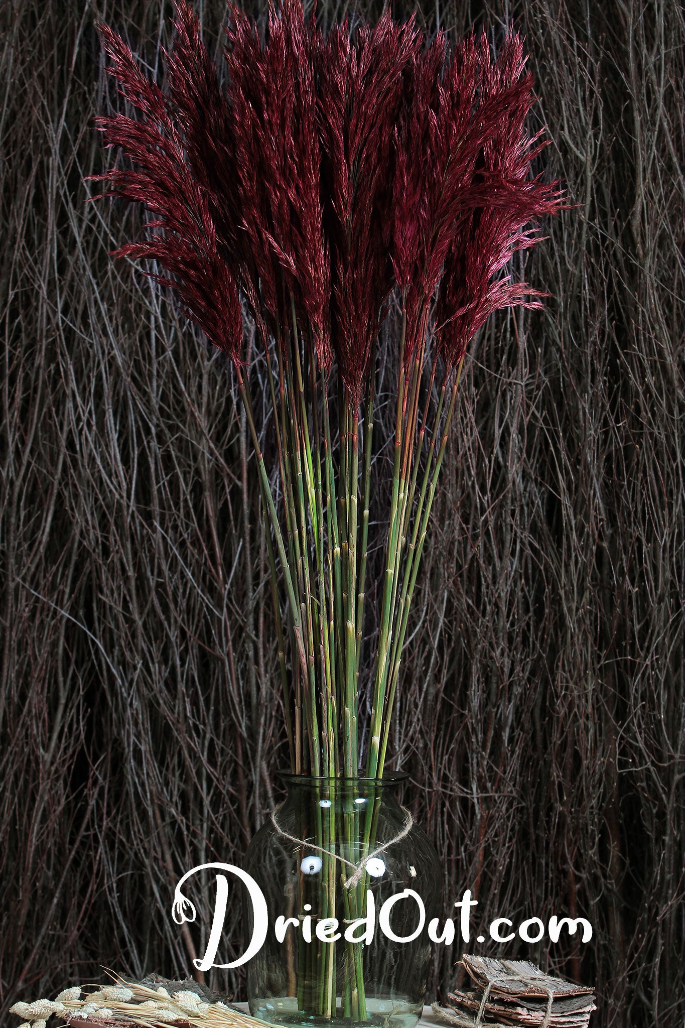 Dried & Preserved Red "Plume Reed" Grass by the bunch