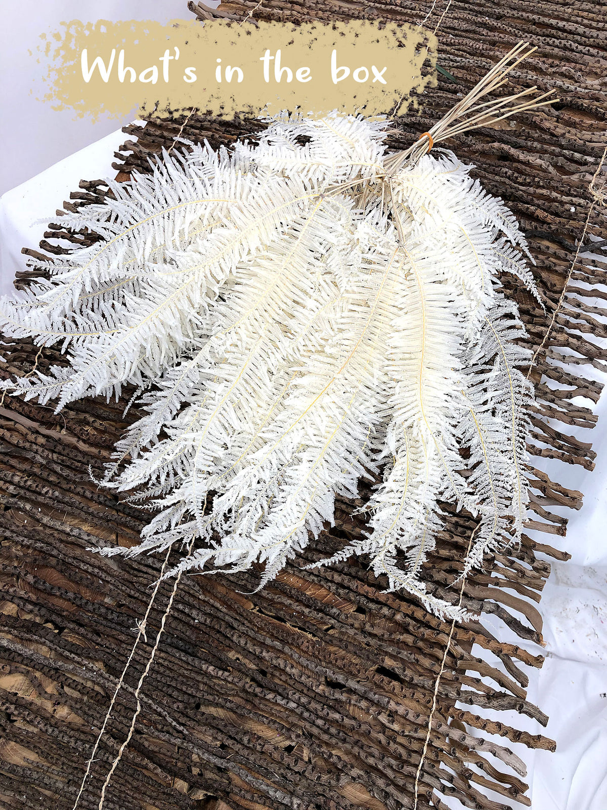 Bleached Large &quot;Mountain Fern&quot; in a 10 stem bunch