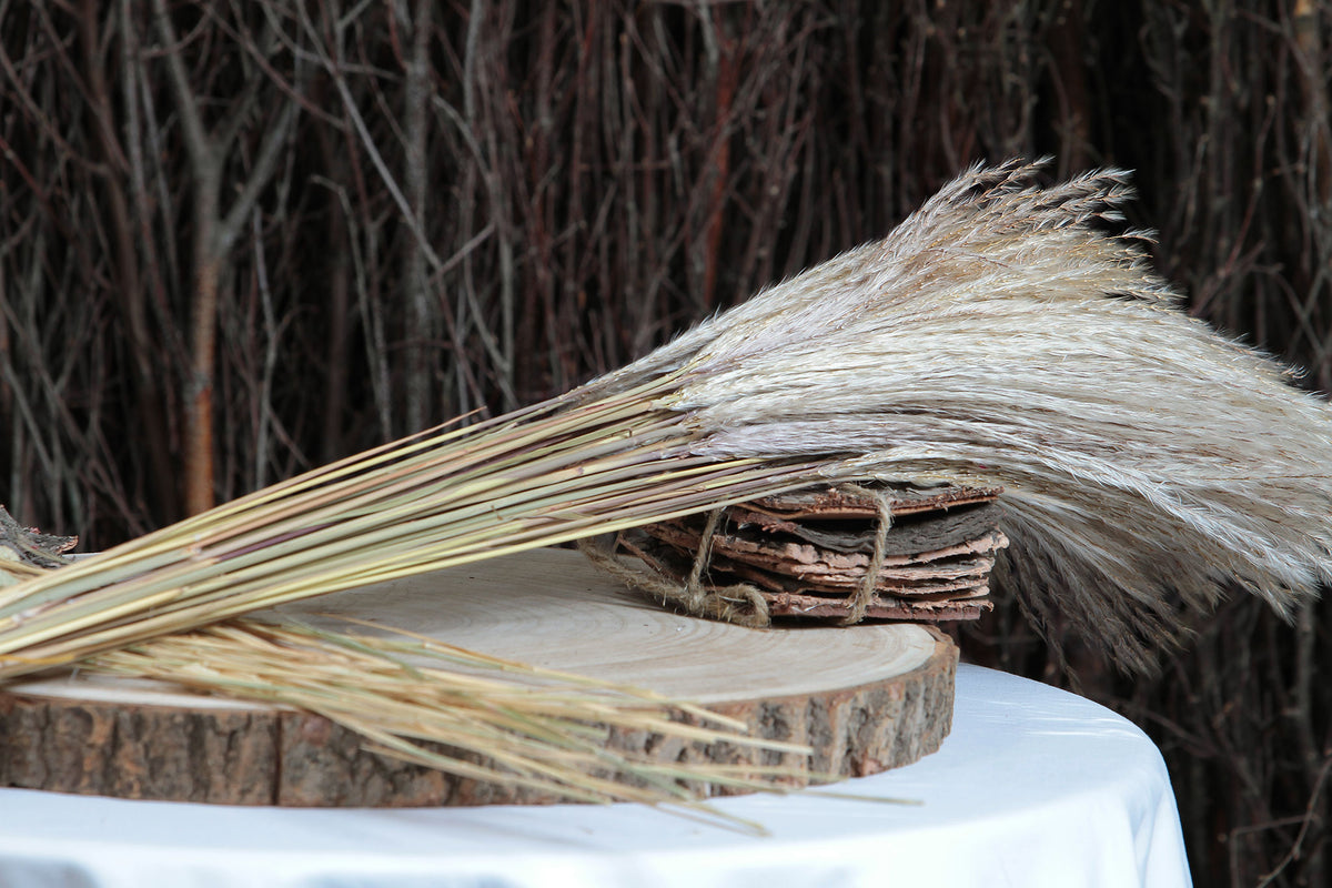 Dried Natural &quot;Fluffy Silver Grass&quot; 70cm in a 10 stem bunch