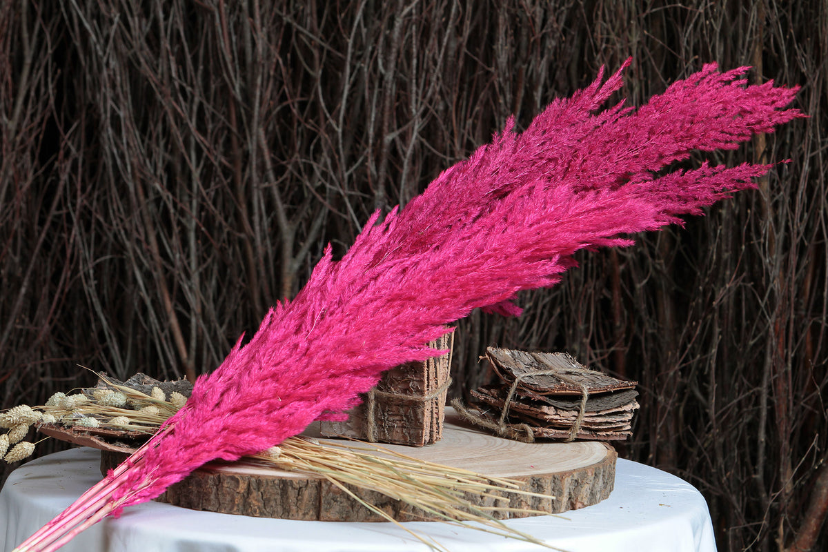 Dried &amp; Preserved Cerise Pink &quot;Pampas&quot; Grass 120cm in an 8 stem bunch