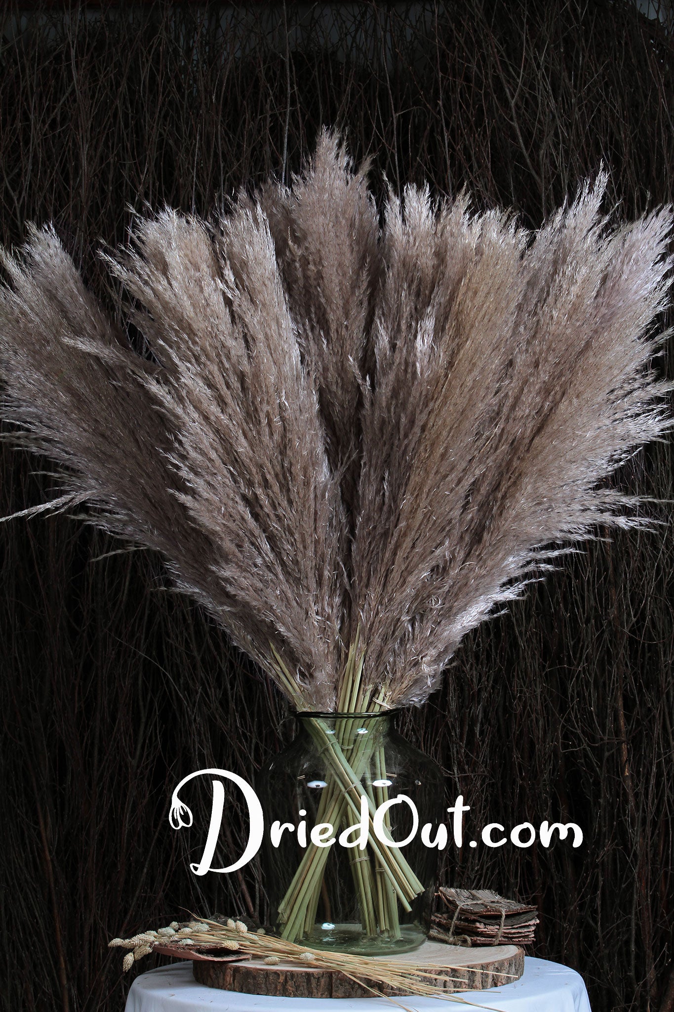 Pampas Grass Large Black Fluffy Dried Pampas Arrangement – Ellie