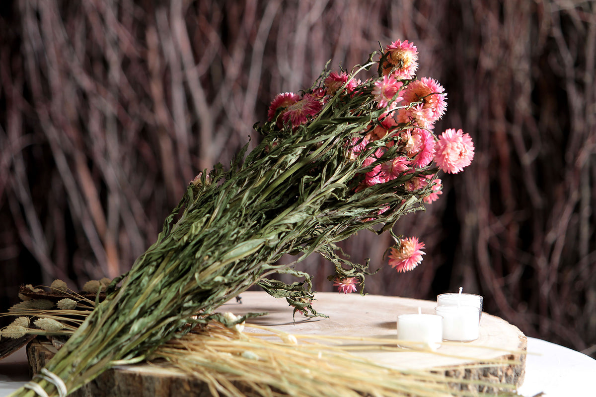 Dried Natural Pink &quot;Straw Flower&quot; by the bunch