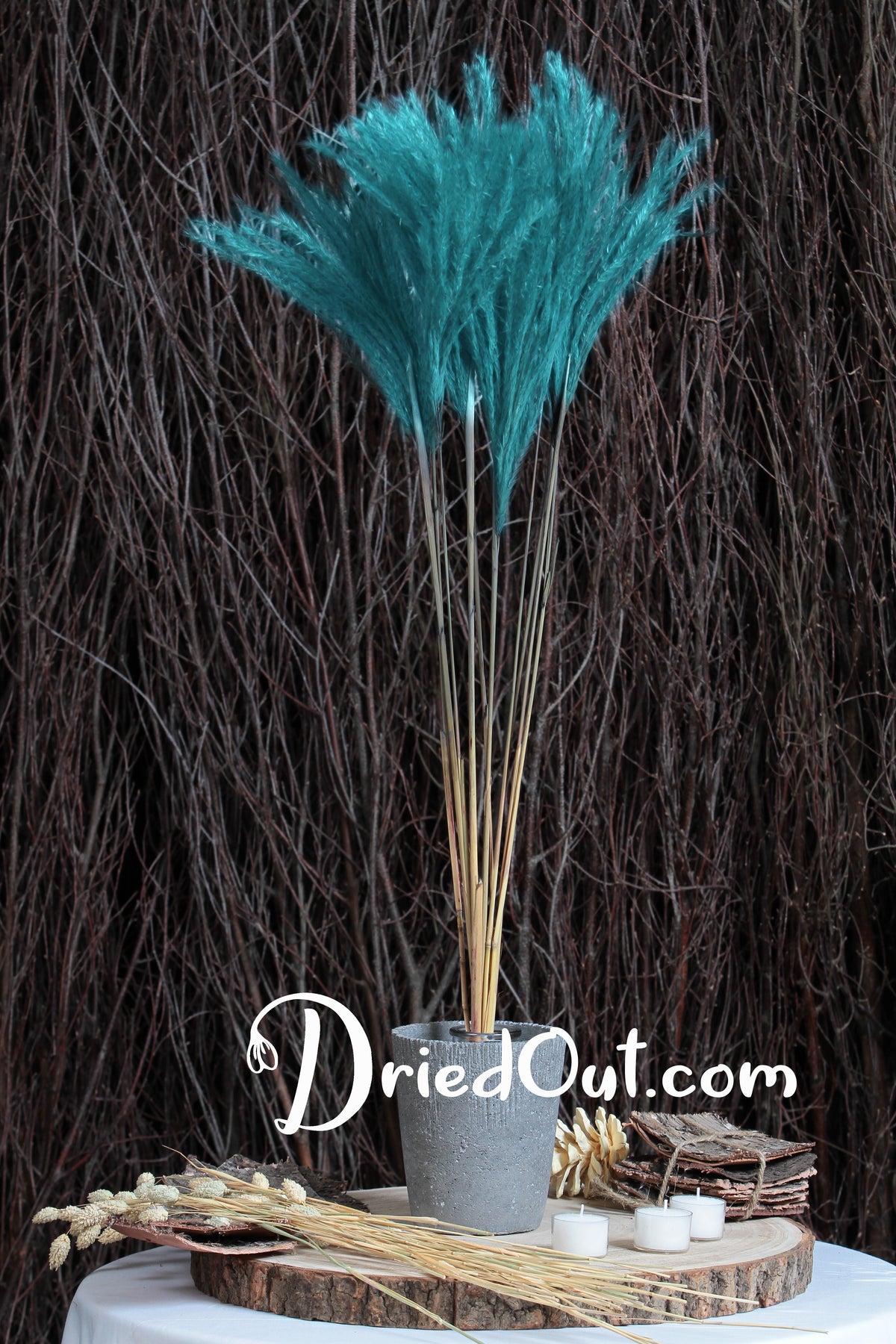 Dried Light Blue &quot;Fluffy Silver Grass&quot; in a 10 stem bunch