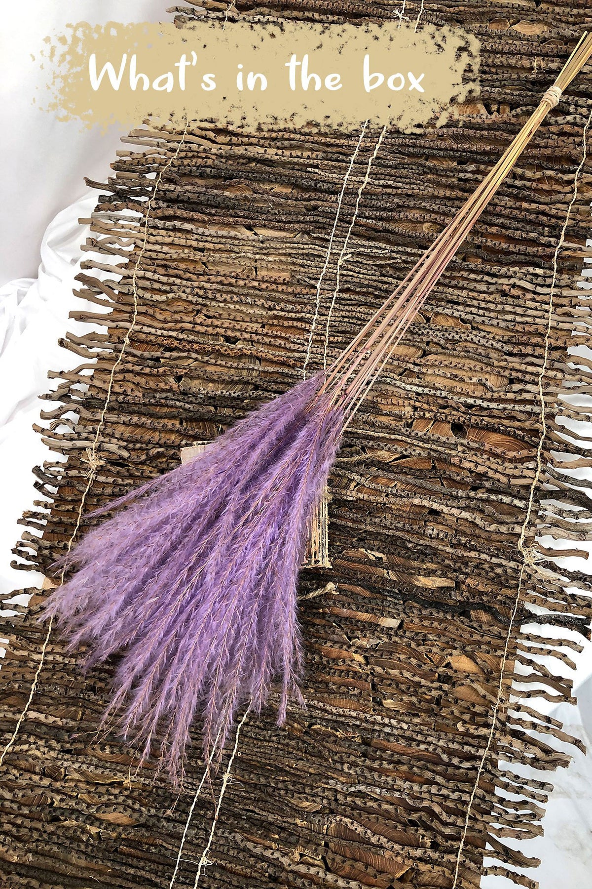 Dried Milka &quot;Fluffy Silver Grass&quot; in a 10 stem bunch