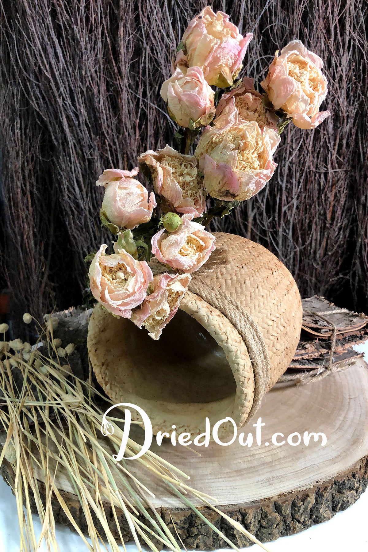 Dried Natural &quot;Peony Coral Peach&quot; Flower 50cm by the bunch