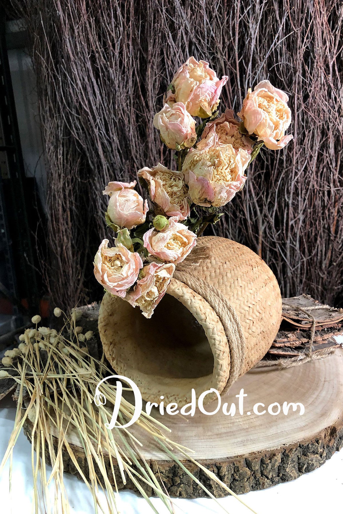 Dried Natural &quot;Peony Miss Amy&quot; Flower 50cm by the bunch